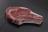 Okse cote de boeuf xo dry aged (udsolgt)